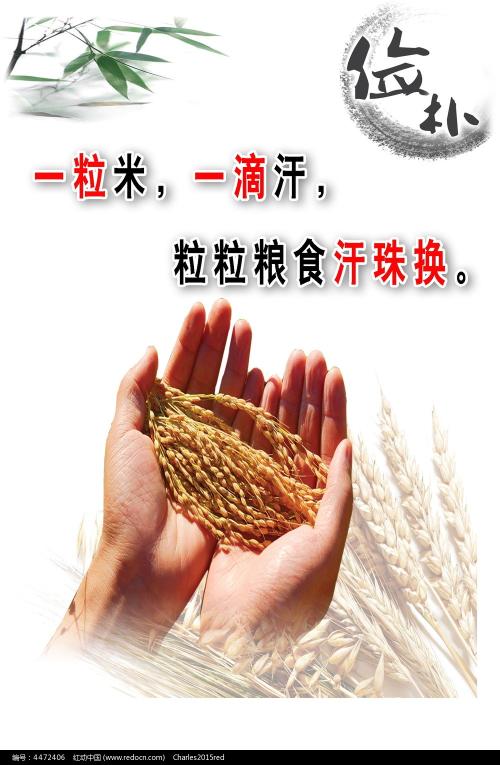大专文凭假证多少钱